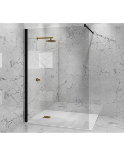 Неподвижная перегородка 110 см Paini PAINI-WalkIN110C прозрачное