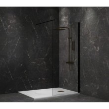 Неподвижная перегородка 110 см Paini PAINI-WalkIN110C прозрачное