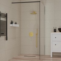 Неподвижная перегородка 100 см Paini PAINI-WalkIN100F прозрачное