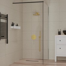 Неподвижная перегородка 100 см Paini PAINI-WalkIN100F прозрачное