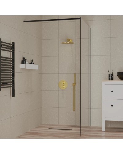 Неподвижная перегородка 100 см Paini PAINI-WalkIN100F прозрачное