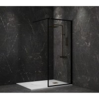 Неподвижная перегородка 100 см Paini PAINI-WalkIN100F прозрачное