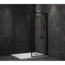 Неподвижная перегородка 100 см Paini PAINI-WalkIN100F прозрачное