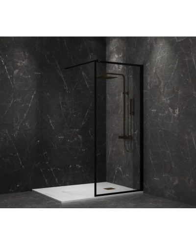 Неподвижная перегородка 100 см Paini PAINI-WalkIN100F прозрачное