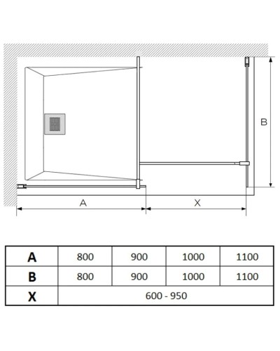 Неподвижная перегородка 100 см Paini PAINI-WalkIN100F прозрачное