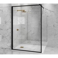 Неподвижная перегородка 110 см Paini PAINI-WalkIN110F прозрачное