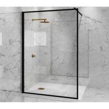 Неподвижная перегородка 110 см Paini PAINI-WalkIN110F прозрачное