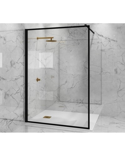 Неподвижная перегородка 110 см Paini PAINI-WalkIN110F прозрачное