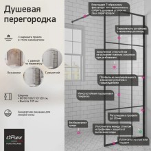 Неподвижная перегородка 110 см Paini PAINI-WalkIN110G прозрачное
