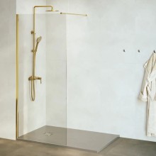 Неподвижная перегородка 120 см RGW WA-002G Walk-in 35100212-16 прозрачное