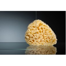 Шторка для ванны 120 см Vegas Glass E2V 120 01 01 L прозрачное