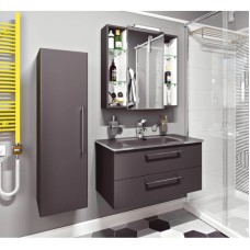 Раковина 101,6х45,6 см Caprigo Accord OW15-2221-R810