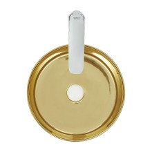 Раковина-чаша WeltWasser Elbach 3134 LSG 35 10000004539 Золотистая