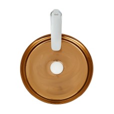 Раковина-чаша WeltWasser Elbach 3134 LSWG 35 10000004540 Белая Золотистая