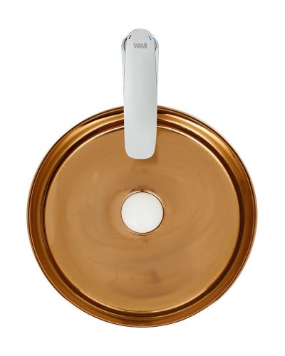 Раковина-чаша WeltWasser Elbach 3134 LSWG 35 10000004540 Белая Золотистая