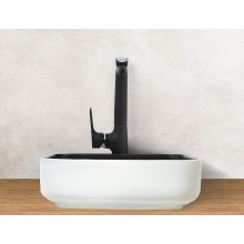 Раковина-чаша WeltWasser Elbach M2195 WB 50 10000005605 Белая Черная