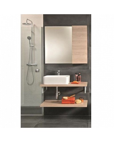 Раковина-чаша Roca Mila 50 32700B000 Белая