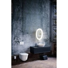 Раковина 55х38 см Laufen New Classic 8.1285.2.000.112.1