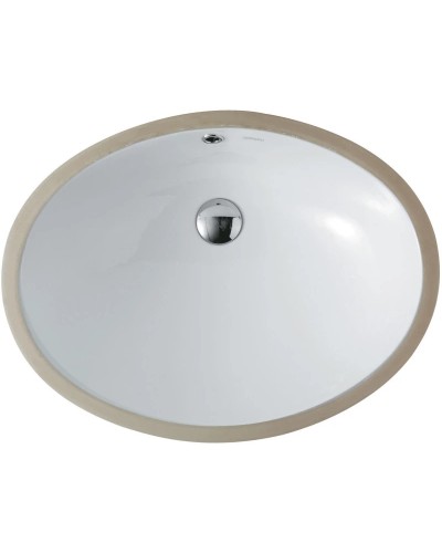 Раковина 60,5х45,5 см SSWW CL3078