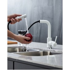 Смеситель для кухни Paulmark Kassel Ka214311-431TW Белый матовый