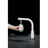 Смеситель для кухни Paulmark Essen Es213011-431TW Белый матовый