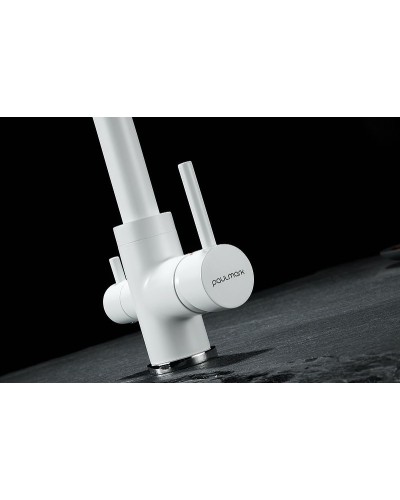 Смеситель для кухни Paulmark Essen Es213011-431TW Белый матовый