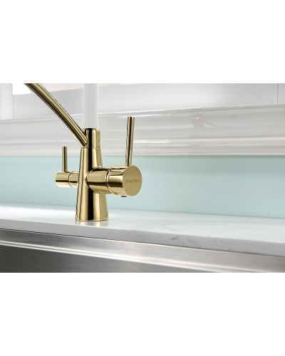 Смеситель для кухни Paulmark Siegen Si213111-Gw Золото Белый