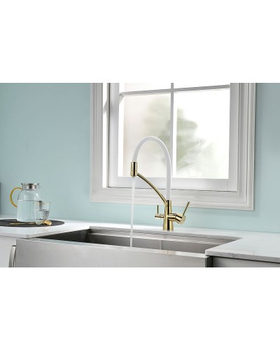 Смеситель для кухни Paulmark Siegen Si213111-Gw Золото Белый