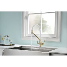 Смеситель для кухни Paulmark Siegen Si213111-Gw Золото Белый