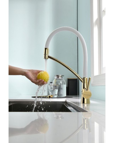 Смеситель для кухни Paulmark Siegen Si213111-Gw Золото Белый