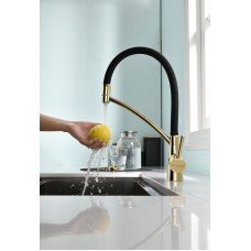 Смеситель для кухни Paulmark Siegen Si213111-G Золото