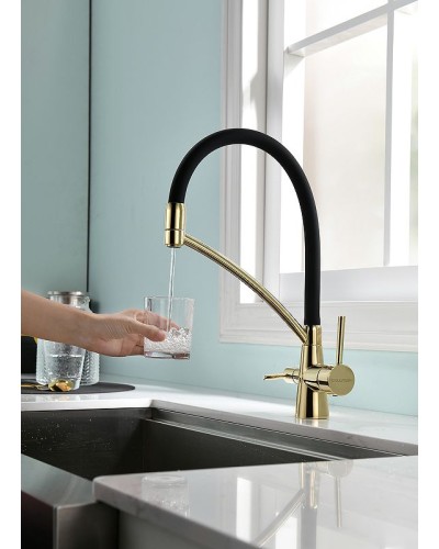 Смеситель для кухни Paulmark Siegen Si213111-G Золото