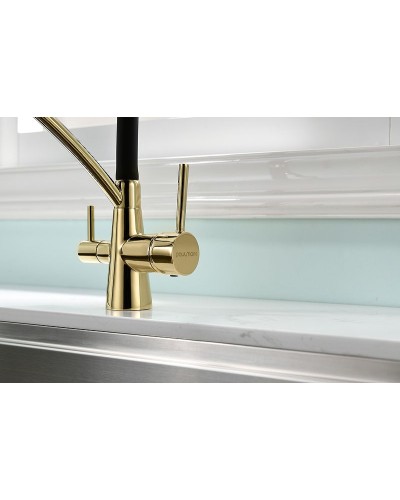 Смеситель для кухни Paulmark Siegen Si213111-G Золото