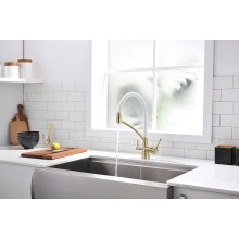 Смеситель для кухни Paulmark Siegen Si213111-BRw Бронза Белый