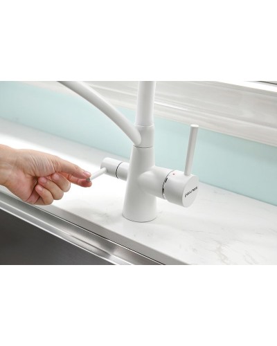 Смеситель для кухни Paulmark Siegen Si213111-431TW Белый