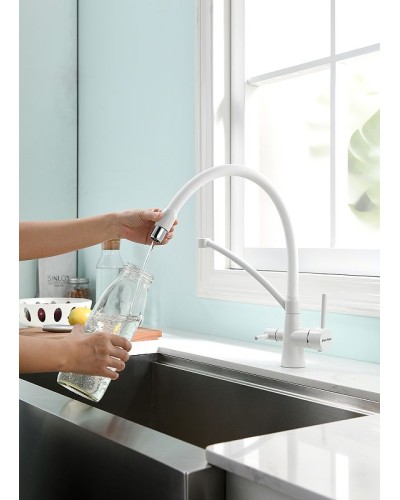 Смеситель для кухни Paulmark Siegen Si213111-431TW Белый