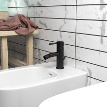Смеситель для биде Paini Cox 78PZ306 Черный матовый