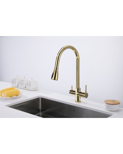 Смеситель для кухни Paulmark Lange La214212-G Золото