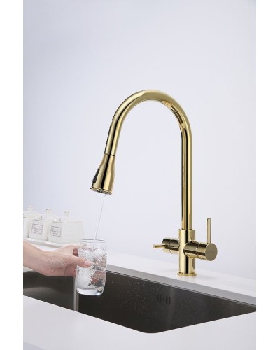 Смеситель для кухни Paulmark Lange La214212-G Золото