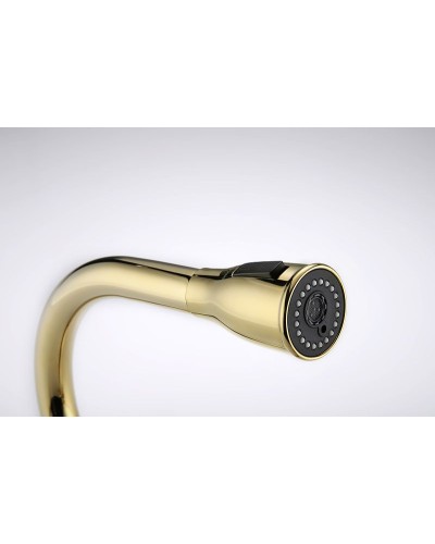 Смеситель для кухни Paulmark Lange La214212-G Золото