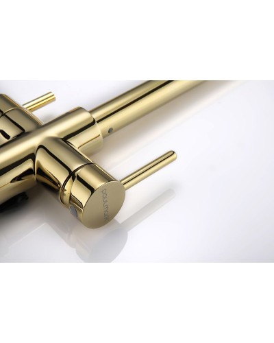 Смеситель для кухни Paulmark Lange La214212-G Золото