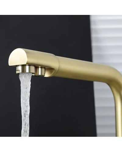 Смеситель для кухни Frap H52 F4352-3 Сатин золотой