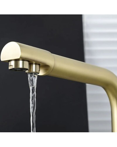 Смеситель для кухни Frap H52 F4352-3 Сатин золотой