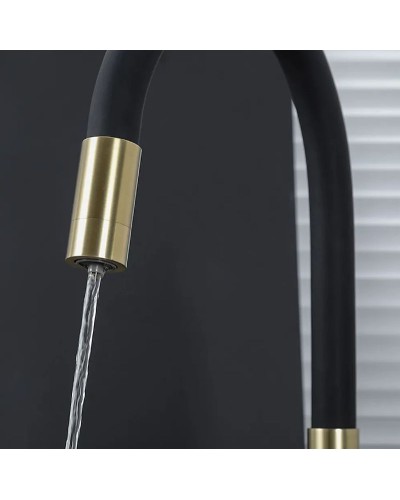 Смеситель для кухни Frap H69 F4396-3 Сатин золотой Черный