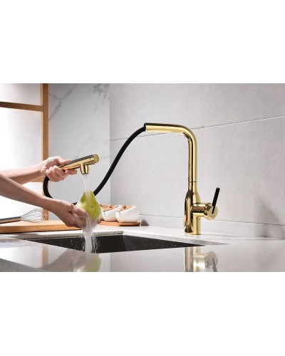 Смеситель для кухни Paulmark Viper Vi213105-G Золото