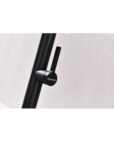 Смеситель для кухни Paulmark Leader Le214101-401 Антрацит