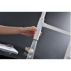 Смеситель для кухни Paulmark Leader Le214101-431 Белый матовый