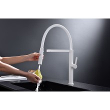 Смеситель для кухни Paulmark Leader Le214101-431 Белый матовый