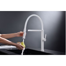 Смеситель для кухни Paulmark Leader Le214101-431 Белый матовый