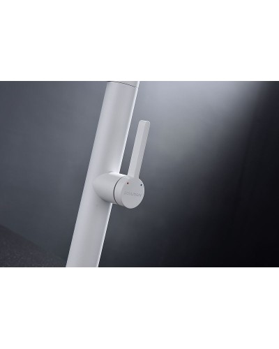 Смеситель для кухни Paulmark Leader Le214101-431 Белый матовый